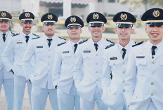 Sepi Peminat! Nih 10 Sekolah Kedinasan Jadi Peluang Besar 2025 untuk CPNS