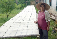 Berhenti Bekerja Kini Sukiyati Warga Desa M Siti Harjo Sukses Membuka Usaha Pembuatan Opak