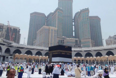 Jemaah Haji 2026 Dilarang Keras Potong Hewan Dam Diluar Mekanisme Resmi