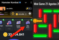 Update Terbaru Kunci Mini Game Hamster Kombat Hari Ini 21 Agustus 2024, Ikuti Polanya Dalam Waktu 30 Detik