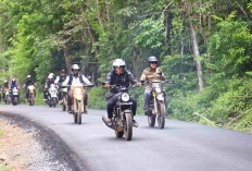 Dana Bangubsus Sumsel Rp 12 Miliar untuk Peningkatan Jalan 28 Km 