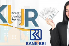 KUR BRI 2024, Begini Syarat, Cara Pengajuan dan Cek Kuota Sisa Hingga Akhir Tahun