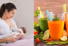 6 Jus Buah yang Baik Untuk Ibu Menyusui, Bantu Perlancar ASI