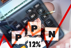 PPN Naik Jadi 12 Persen Mulai 2025, Ini Daftar Lengkap Barang dan Jasa yang Bebas Pajak