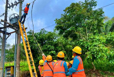 Pemulihan Listrik Sumatra Utara Dikebut, Menteri ESDM Tinjau Langsung Lokasi Terdampak Bencana