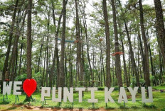 Kunjungi Punti Kayu untuk Mengenal Kekayaan Flora dan Fauna Indonesia 