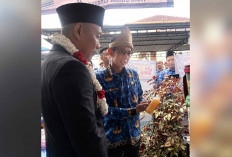 Inovasi Guru SDN 75 Lubuk Linggau, Pupuk Organik Hybrid