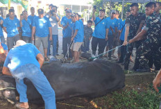 420 Paket Daging dari Seekor Sapi Bantuan Kemasyarakatan Presiden RI di Musi Rawas Dibagikan 