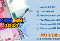 KUR BRI Solusi Bagi Pelaku UMKM, Ketahui 6 Keuntungan dan 20 Kekurangan Progarm Pemerintah Ini