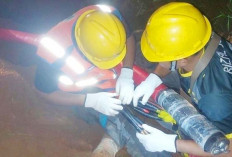 Pasca Idulfitri, PLN ULP Lubuklinggau Perkuat Keandalan Listrik Lewat Perbaiki SKTM