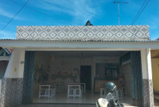 Rumah Salad, Pilihan Sehat Warga Kota Lubuklinggau