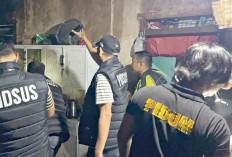 Polda Sumsel Bongkar Ladang Ganja 20 Hektar di Empat Lawang, 4 Orang Masuk DPO