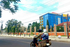 Spot Foto Baru di Depan Kantor Wali Kota Lubuk Linggau, Mohon Dijaga Dan Jangan Dipretel