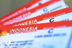 Baru Mau Bikin SIM Mei 2025? Siapin Duit Segini, Jangan Kaget Sama Biayanya!