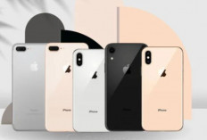5 Rekomendasi iPhone Lama 2026 yang Cocok untuk Multitasking dan Harian
