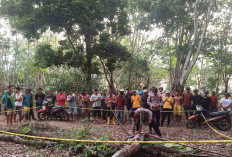 Mulyono Dibunuh Tetangga, Polres Musi Rawas Ungkap Motif Pemicunya