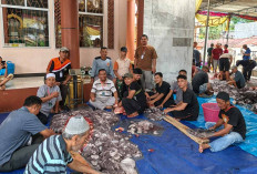 Idul Adha 1447 H, Masjid Jamik Baiturrahman Sembelih 6 Sapi dan 5 Kambing, Bagikan 600 Paket Daging Kurban