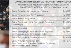 UMP Kota Lubuk Linggau 2026 Rp 3.942.963 Per Bulan, Berikut Ini Rincian Setiap Sektor Kerja