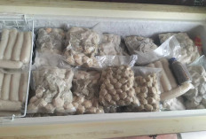 Jelang Lebaran, Permintaan Ikan Giling dan Frozen Food Meningkat, Ibu-Ibu Mulai Siapkan Stok Pempek