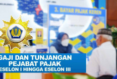 Gaji Pegawai Pajak di Indonesia Tak Naik Tunjangan Puluhan Juta, Berikut Daftar Gaji dan Tunjangan 