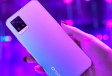 5 Rekomendasi HP Vivo Terbaik 2024 Harga Rp 2 jutaan, Bawa Desain Mewah dan Spesifikasi Unggul