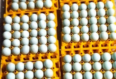 Warga Desa Bangun Rejo Musi Rawas Kompak Kembangkan Usaha Telur Asin