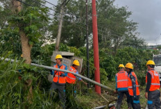 Waspada Cuaca Badai Bengkulu: PLN Gerak Cepat Pulihkan Listrik