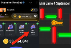 Kunci Mini Game Hamster Kombat Hari Ini Rabu 4 September 2024, Ini Polanya