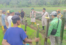 Petani Padi di Musi Rawas Diminta Buat Bumbung Konservasi, Ini Tujuannya