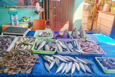 Ramadhan, Lapak Ikan di Pasar Moneng Sepati Ramai Diserbu Pembeli