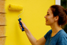 5 Rekomendasi Cat Dinding Rumah Bagian Luar yang Mampu Bertahan Lebih Lama Awet  