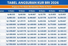 Tabel KUR BRI 2026 Rp50 Juta-Rp80 Juta Lengkap, Cicilan Mulai Rp1 Jutaan