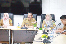 Honorer Non-Database dan Gagal CPNS 2024 Peluang Masuk PPPK Paruh Waktu