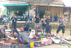 Idul Adha 1447 H, Mushola Al Hakim LDII Lubuk Aman Lubuk Linggau Sembelih 2 Sapi dan 1 Kambing