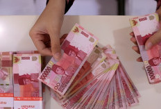 Sumsel Targetkan 11 Daerah Punya Dewan Pengupahan, Lahat Jadi Pelopor