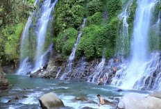 Inilah 4 Tempat Wisata Alam di Palembang yang Wajib Dikunjungi