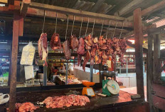 Jelang Hari Raya Idul Adha Harga Daging Sapi Stabil 