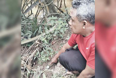 Fakta Baru Pembunuhan Pakai Sianida di Musi Rawas, Istri Tahu Suaminya Punya Pacar