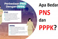 Bedakan Pemasukan PPPK dan ASN, Lalu Bagaimana dengan Dana Pensiun, Ini Penjelasannya