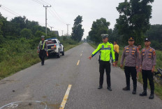 Tabrak Kerbau, Pegawai Puskesmas Meninggal di Tempat