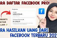 Pemula Wajib Tahu! Ini Strategi Jitu Meraih Cuan dari Facebook Pro