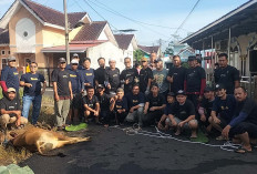 Idul Adha 1446 H, Masjid Ar Raudhah Perumahan Green Garden Lubuk Linggau Bagikan 285 Kantong Daging Kurban