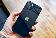 Apakah iPhone 13 Masih Jadi Rekomendasi Terbaik di 2026?