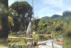 Warga Kuto Tanjung Muratara Kesulitan Akses Internet 