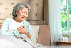 Penyakit jantung bisa sembuh ? Ini Penjelasannya