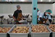 Ini Ketentuan Penetapan Lokasi SPPG Oleh BGN