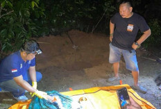 Pria yang Mutilasi Ibu Kandung Sempat Maling Emas dan Baru Bebas dari Penjara