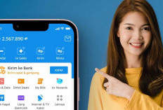 Saldo DANA Rp292.000 Cair Hari Ini! 4 Cara Dapat Uang Gratis Tanpa Modal dan Tanpa Ribet