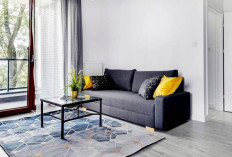 7 Cara Dalam Tentukan Warna Cat Ruangan Rumah Minimalis 2025 Bikin Penghuni Nyaman TErkonsep