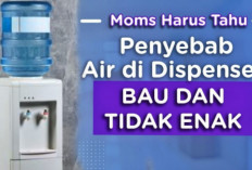 Inilah 10 Faktor Penyebab Air Dispenser Bau Tidak Sedap